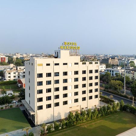 Hotel Marigold Jaipur Exterior foto